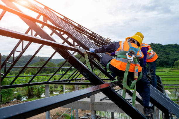 Best Storm Damage Roof Repair  in Bear Creek, AL
