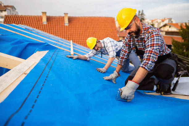 Best Roof Gutter Cleaning  in Bear Creek, AL